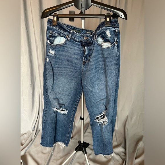 wild fable Denim - Distressed Blue Women's Jeans